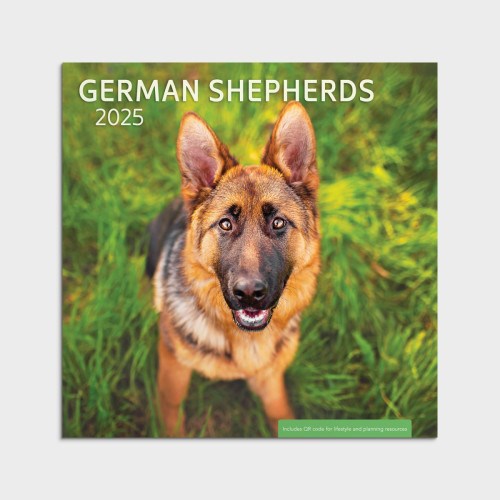 2025 Wall Calendar-German Shepherds