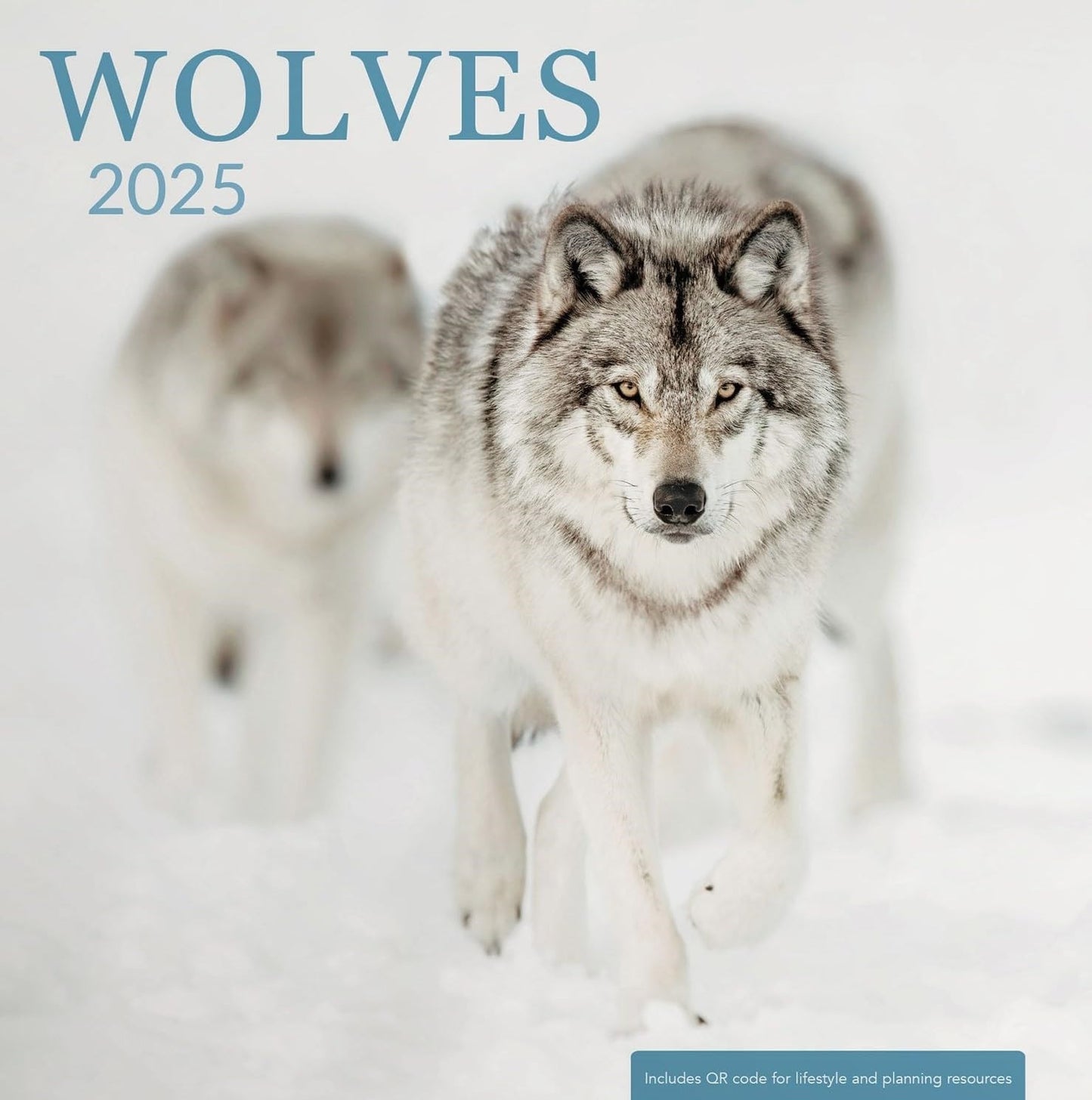 2025 Wall Calendar-Wolves