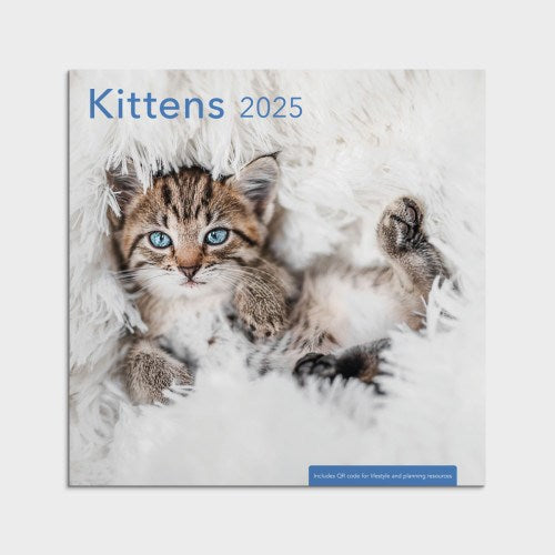 2025 Wall Calendar-Kittens