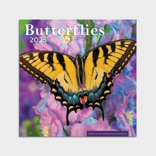 2025 Wall Calendar-Butterflies