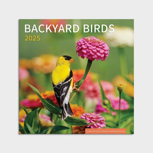 2025 Wall Calendar-Backyard Birds