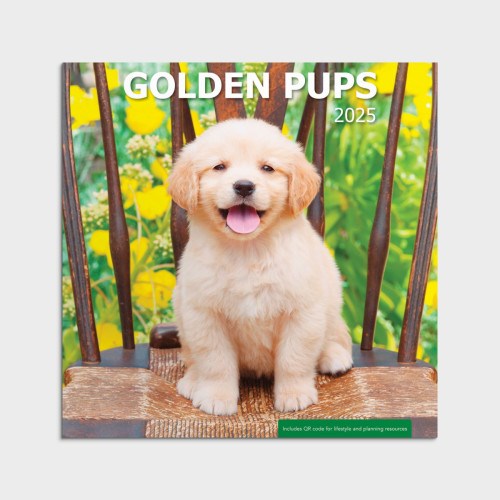 2025 Wall Calendar-Golden Pups