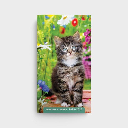 2025 Kittens 28-Month Planner