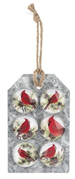 Magnet-Cardinal w/ Pine Sprig (Set Of 6)