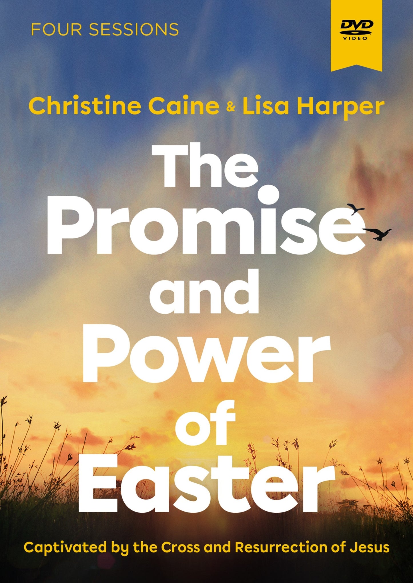 DVD-The Promise And Power Of Easter Video Study