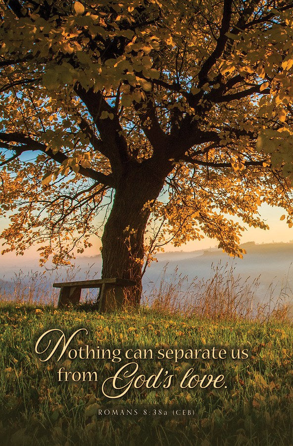 Bulletin-Nothing Can Separate Us From God's Love (Romans 8:38  CEB)