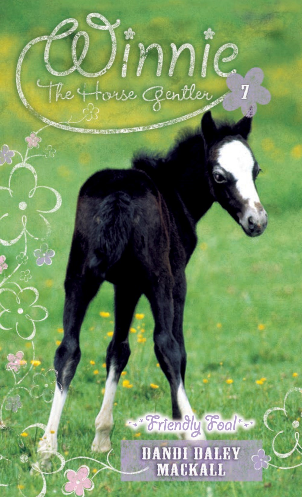 Friendly Foal (Winnie The Horse Gentler V7)