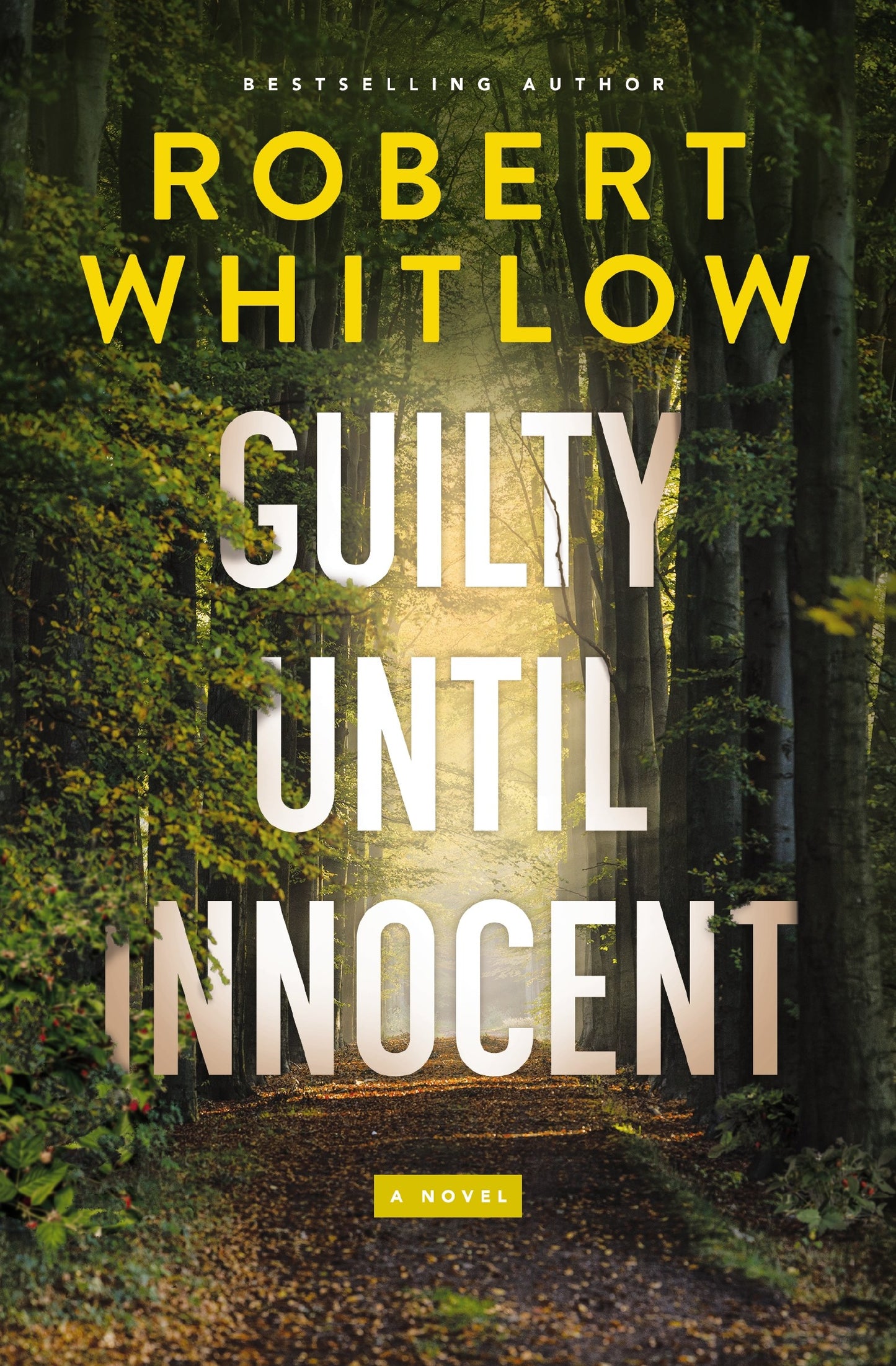 Guilty Until Innocent-Hardcover