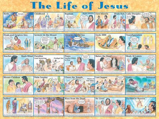 Chart-Life Of Jesus Wall (Laminated Sheet) (19" x 26")