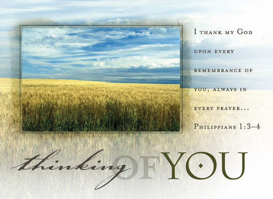 Postcard-Thinking Of You/Field (Philippians 1:3-4 KJV) (Pack Of 25)