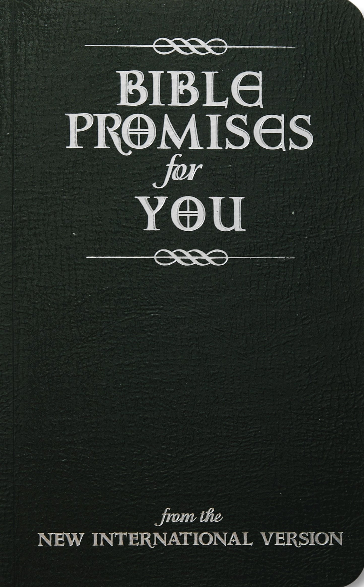 Bible Promises For You (From The NIV)