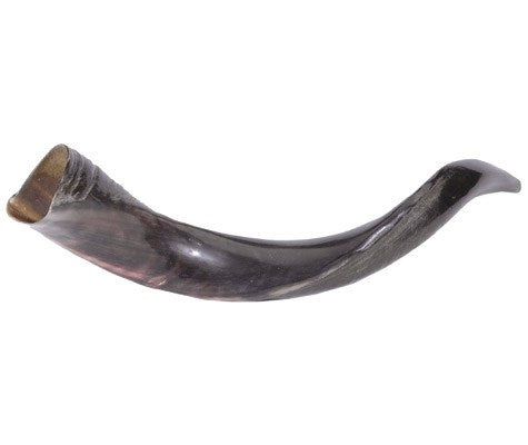 Shofar-Yemenite-Mini (20"-22") (#1116)