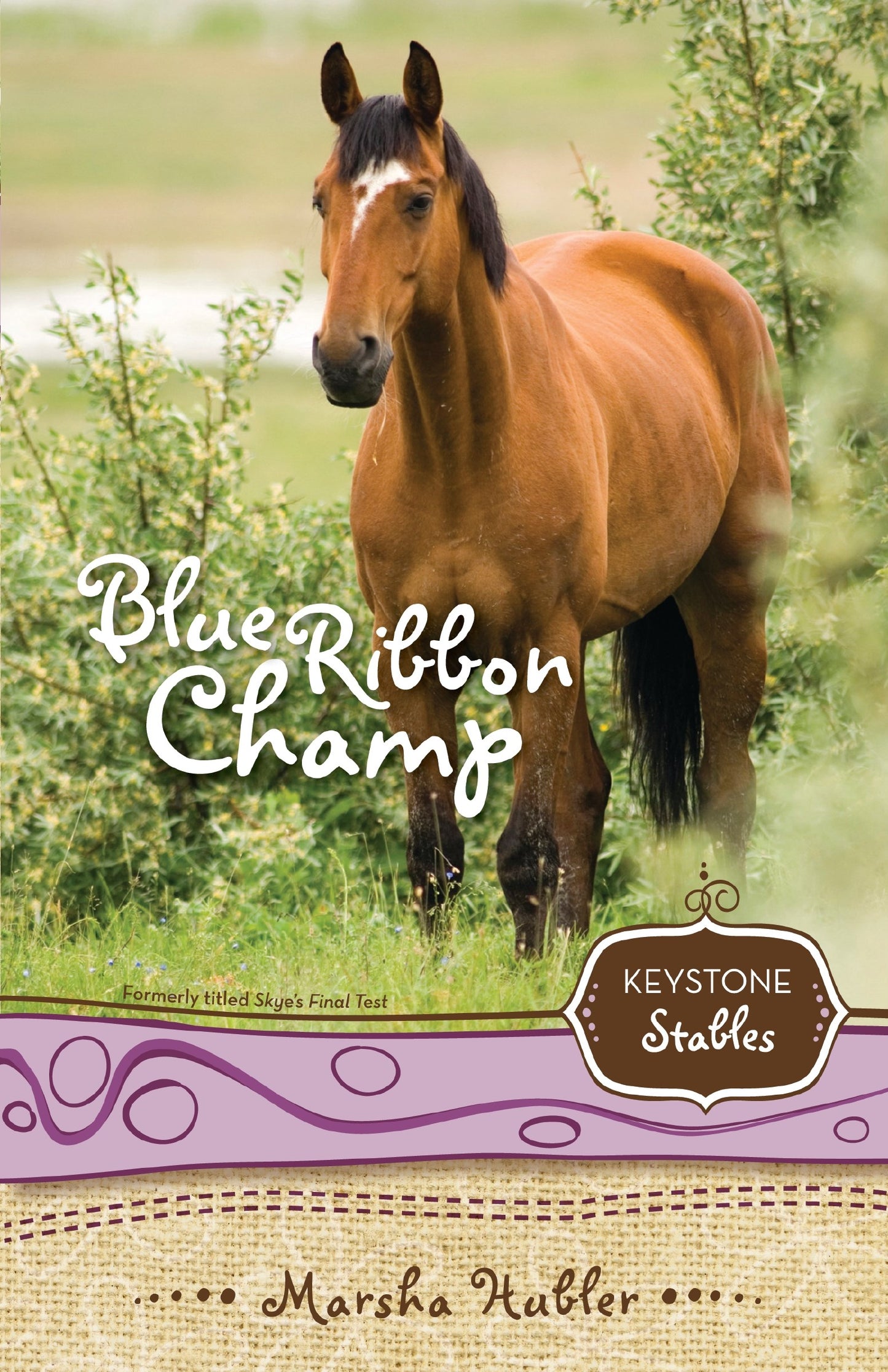 Blue Ribbon Champ (Keystone Stables #6)