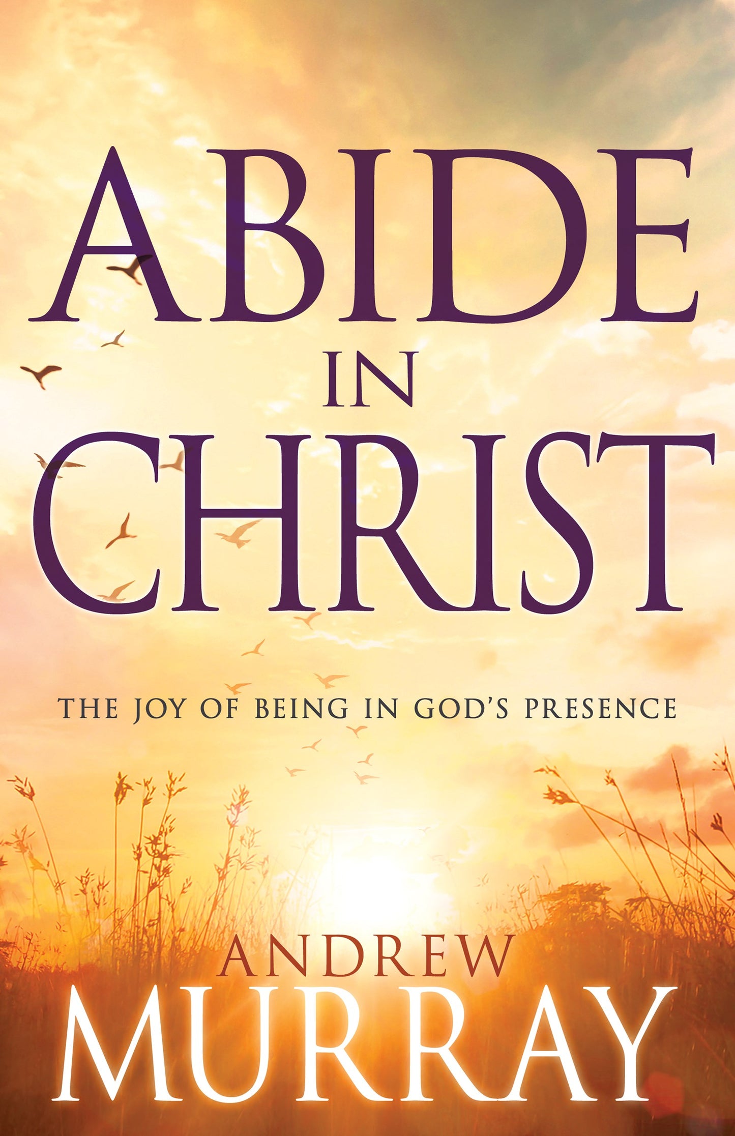 eBook-Abide In Christ