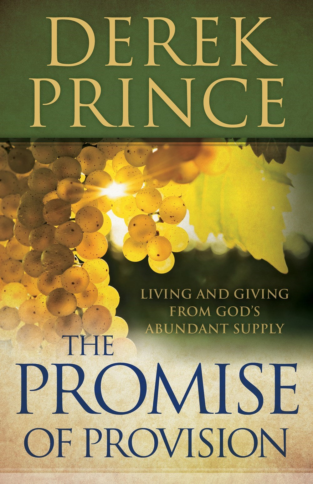 Promise Of Provision