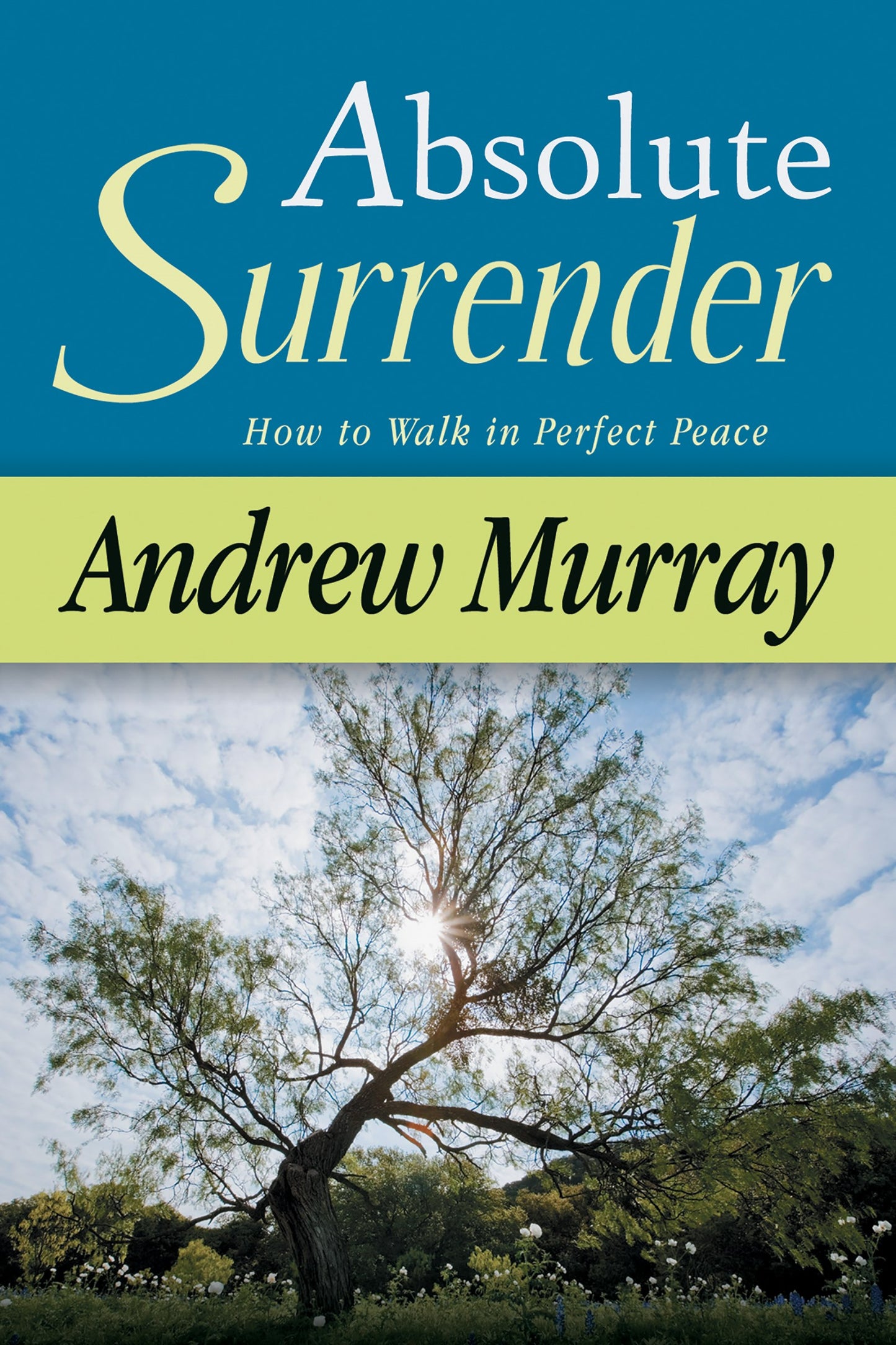 eBook-Absolute Surrender