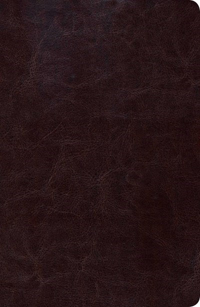 RVR 1960 New Scofield Study Bible/Personal Size-Brown LeatherTouch