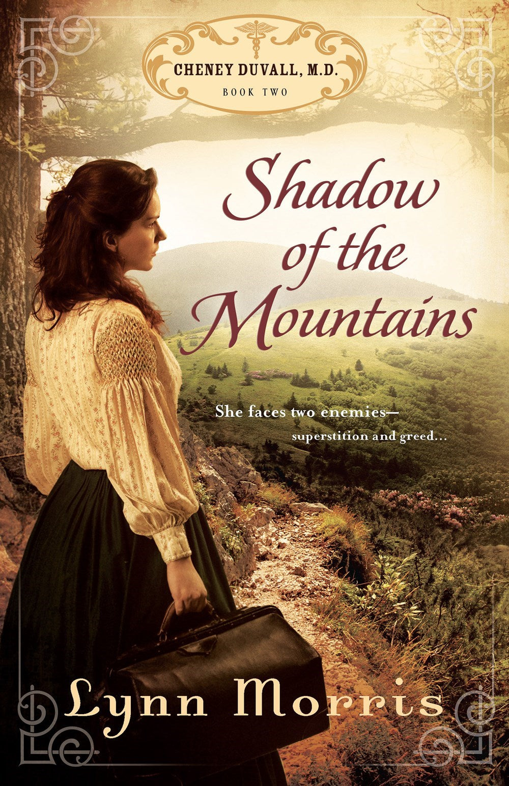 Shadow Of The Mountains (Cheney Duvall  M.D. #2)