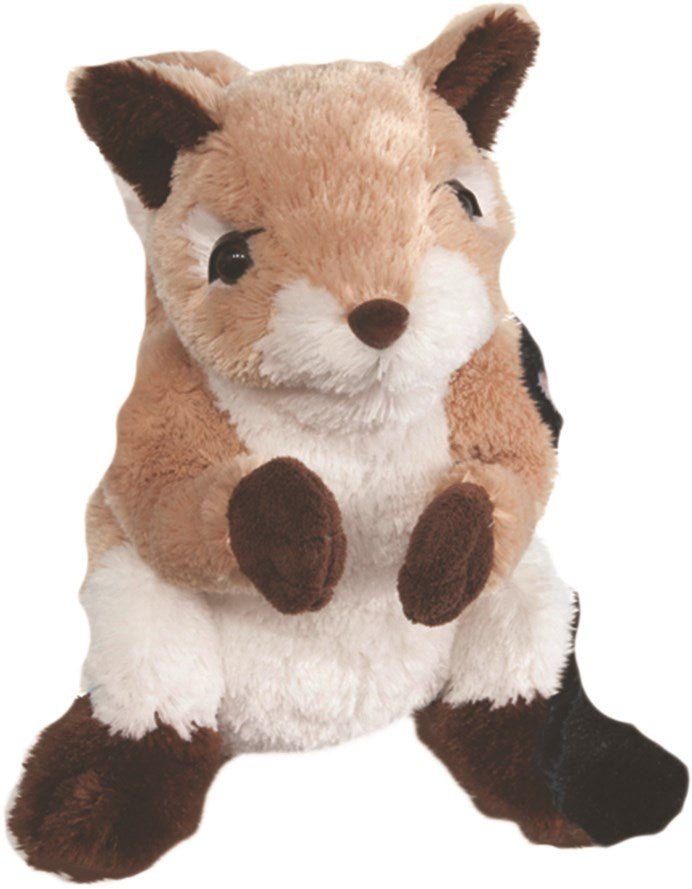 Gospel Light: Preschool/Pre-K Skitter Squirrel Puppet-Year B (#139012)