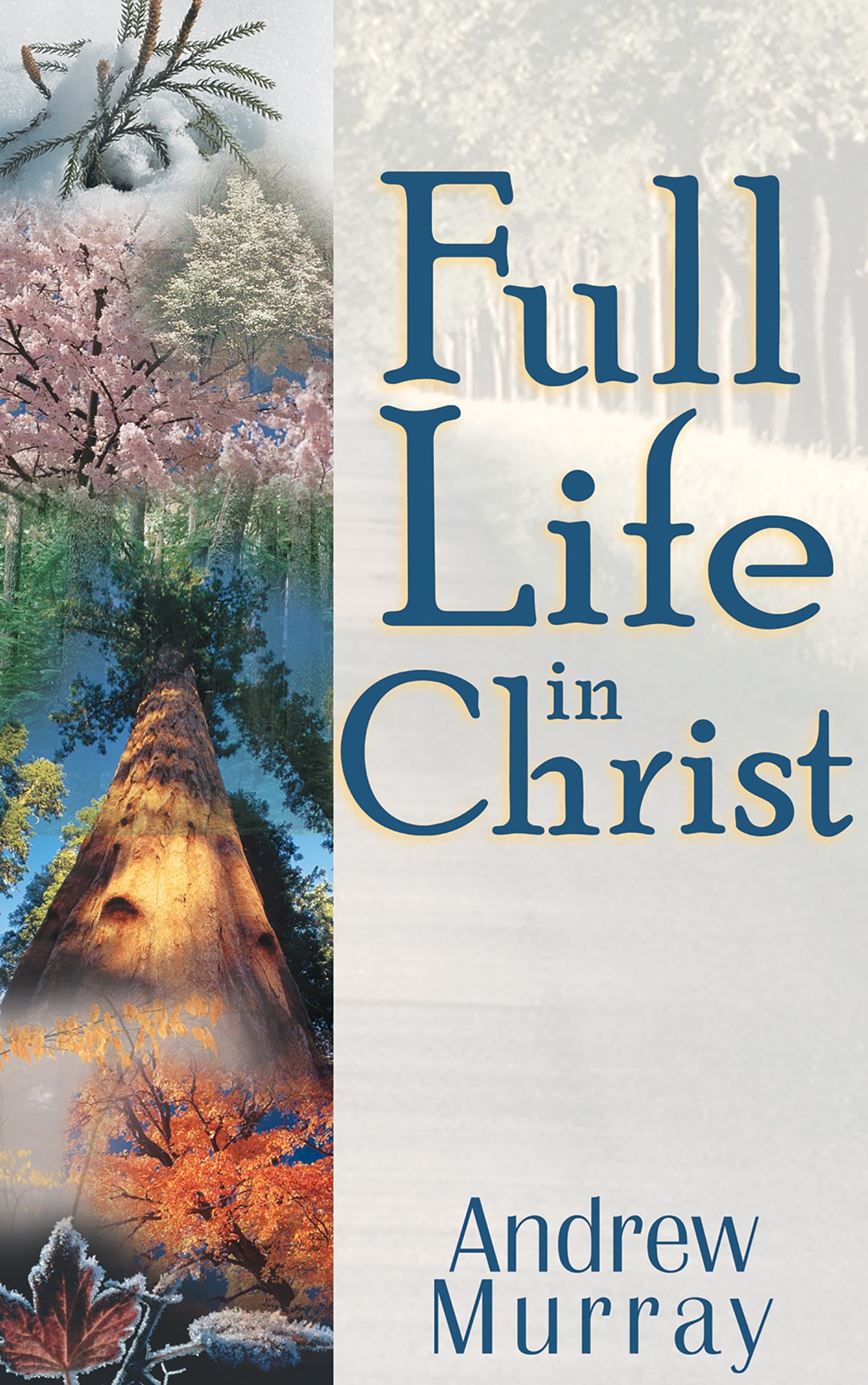 eBook-Full Life In Christ