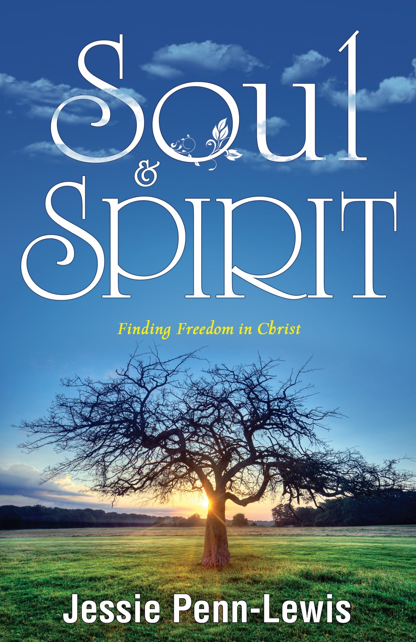 eBook-Soul And Spirit: Finding Freedom In Christ