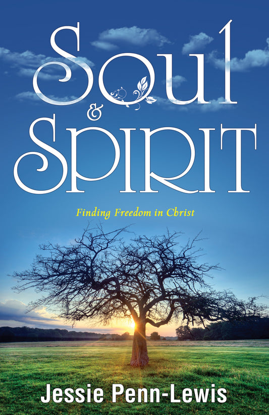 eBook-Soul And Spirit: Finding Freedom In Christ