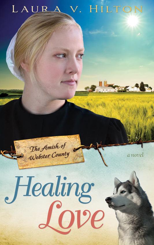 eBook-Healing Love (Amish Of Webster County V1)