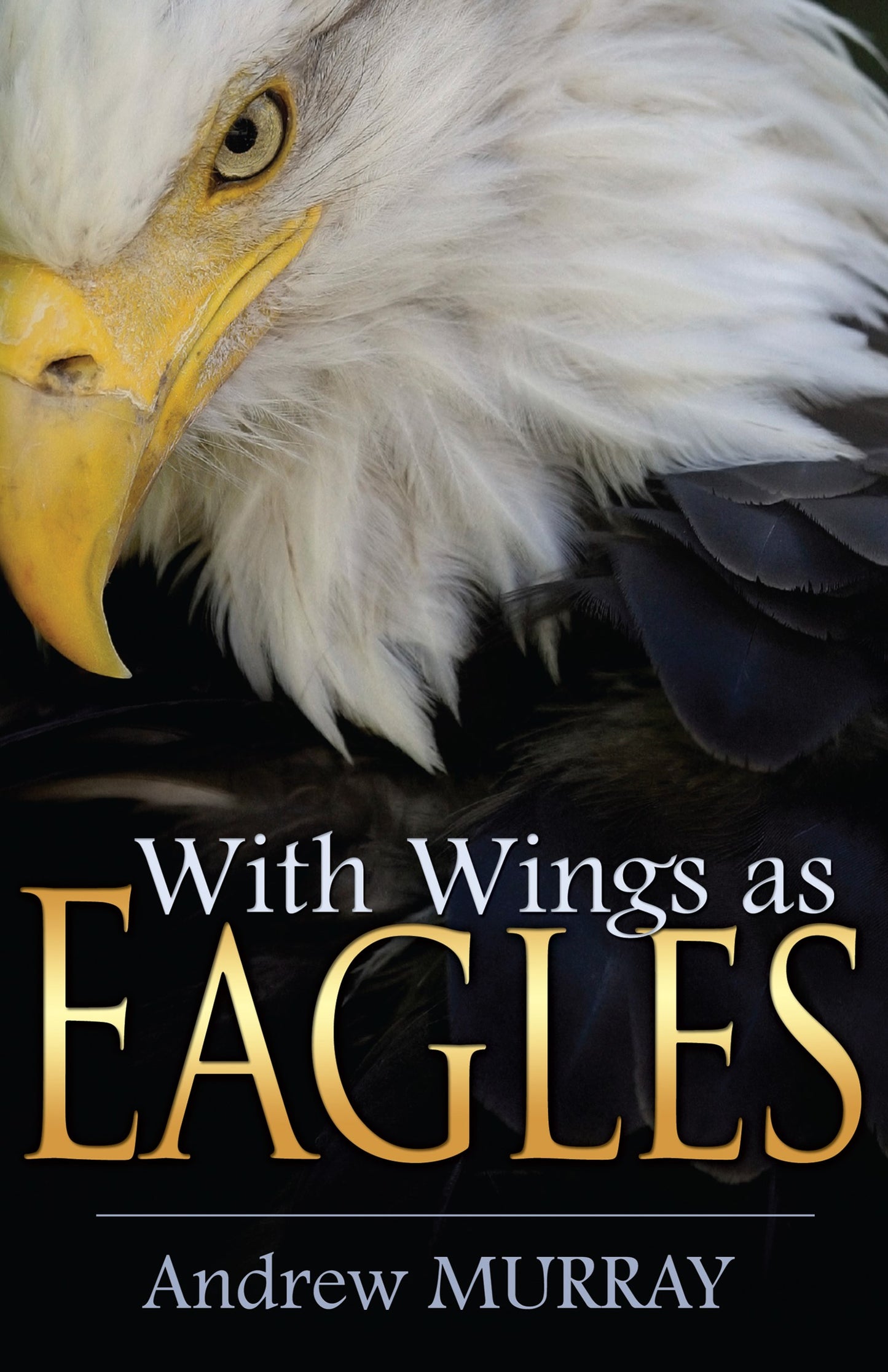 With Wings As Eagles