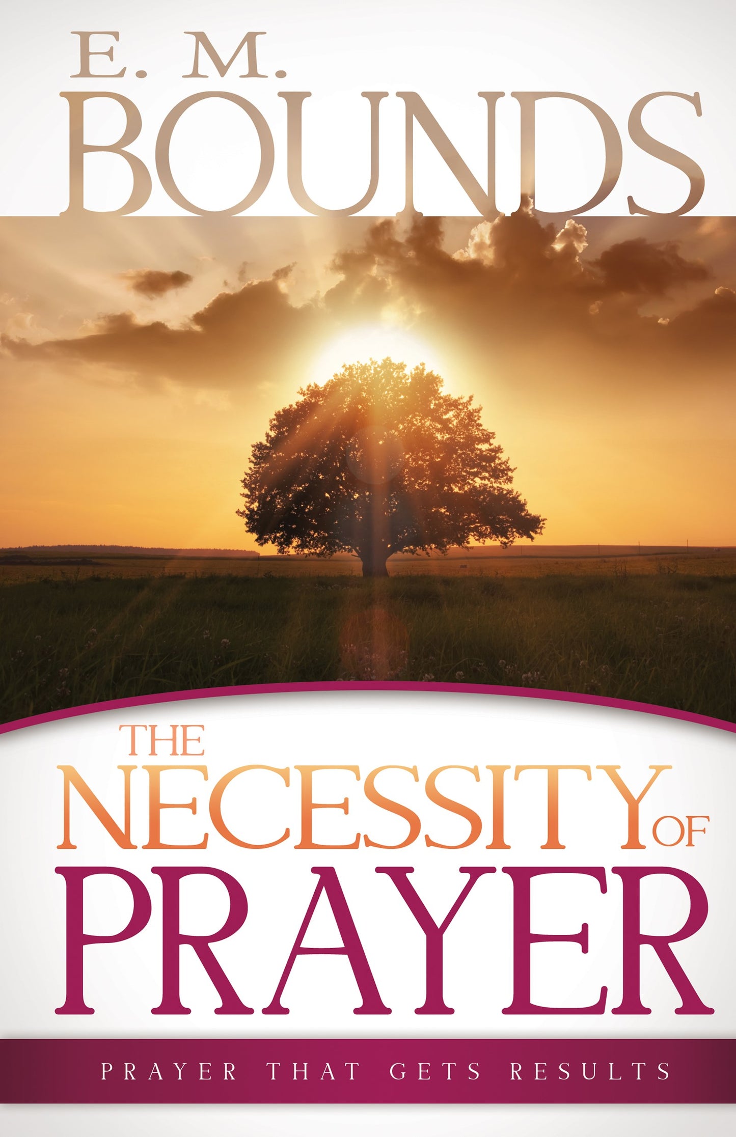 eBook-Necessity Of Prayer