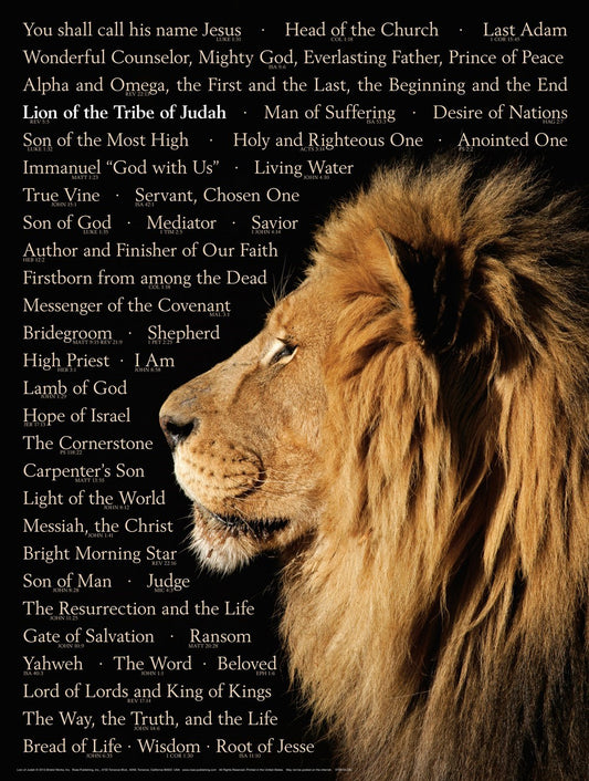 Chart-Lion Of The Tribe Of Judah Wall (Laminated Sheet) (19" x 26")