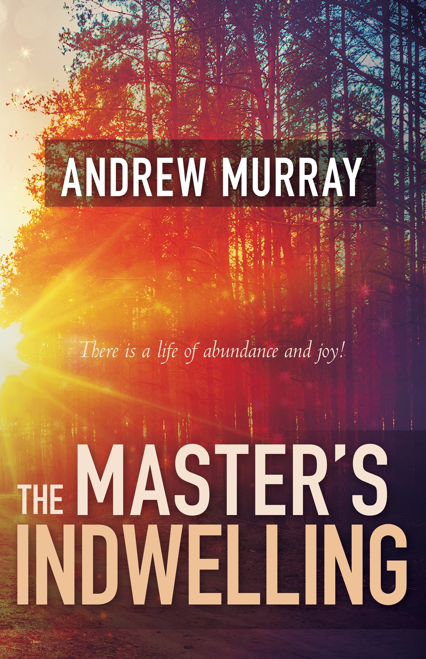 eBook-Masters Indwelling