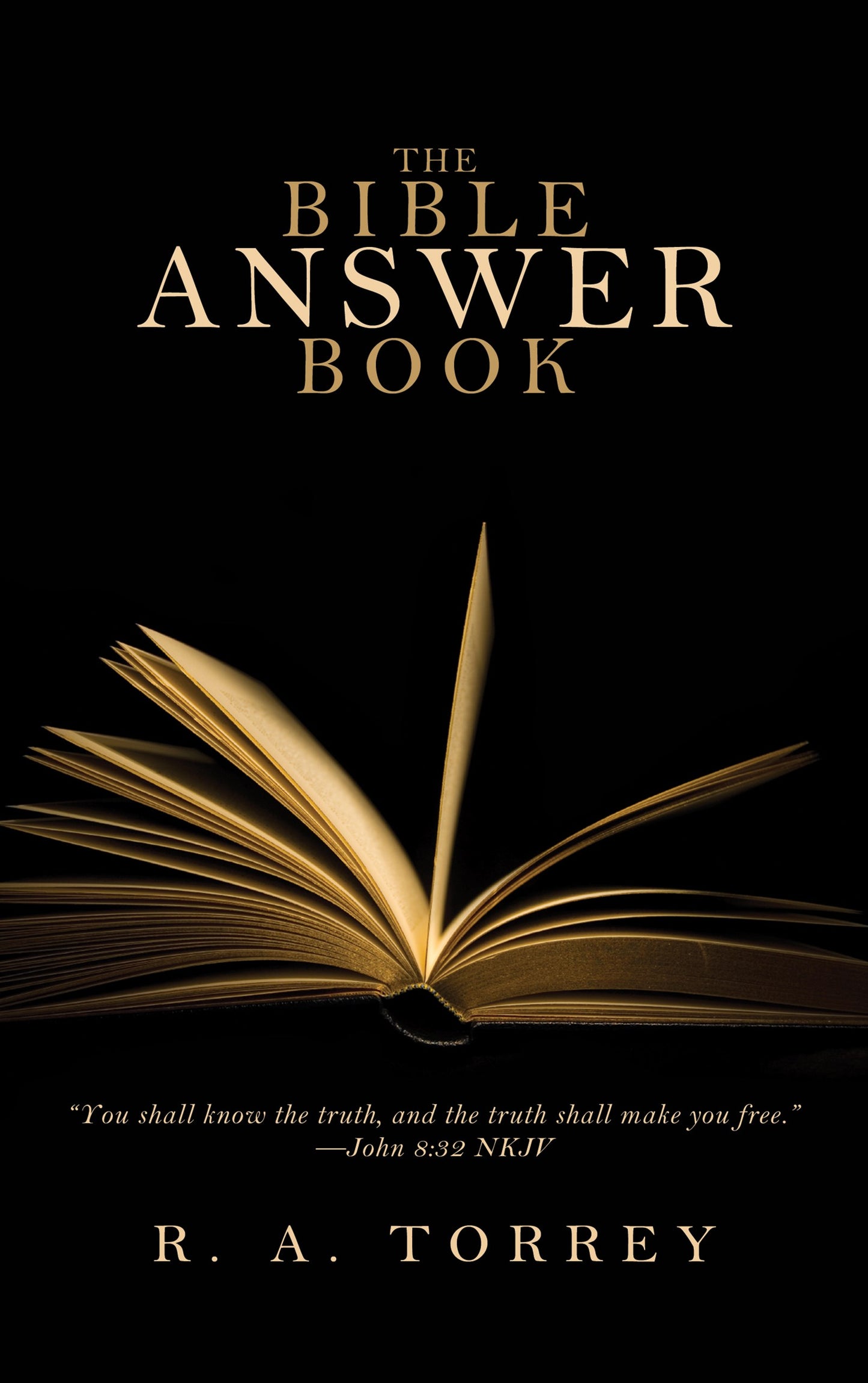 eBook-Bible Answer Book