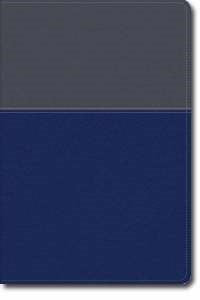 NKJV Evangelism Study Bible-Gray/Blue Imitation Leather