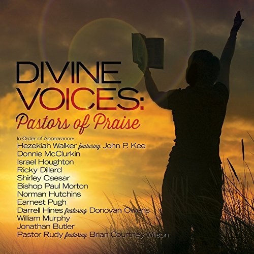 Audio CD-Divine Voices: Pastors Of Praise