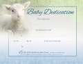 Certificate-Baby Dedication (Matthew 19:14) (Full Color  Coated Stock) (Pack Of 6)