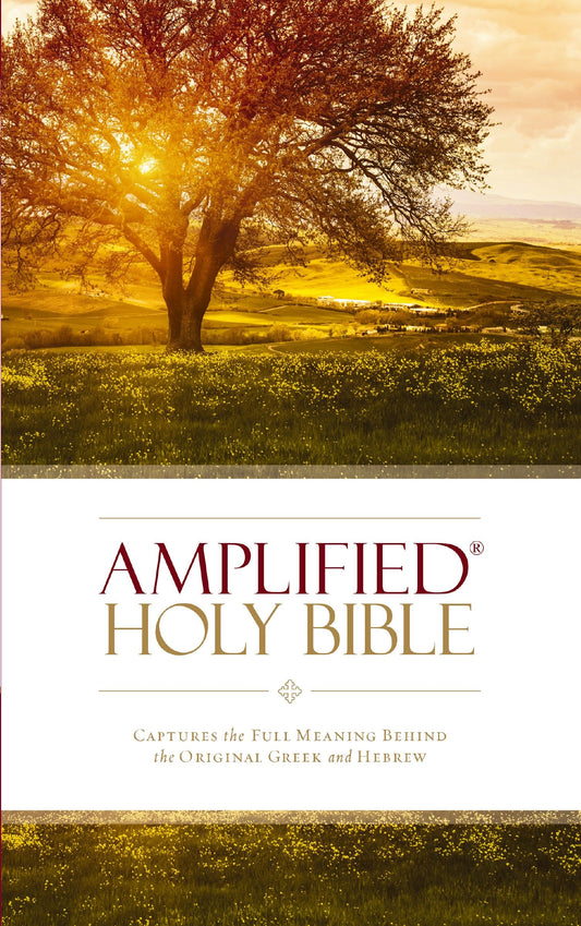 Amplified 2014 Holy Bible (Revised)-Softcover