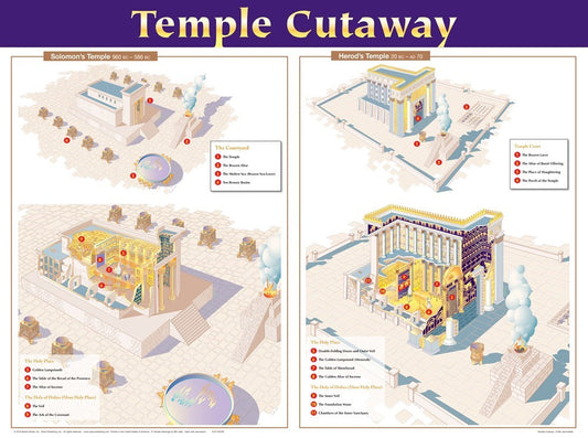 Chart-Temple Cutaway Wall (Laminated Sheet) (19" x 26")