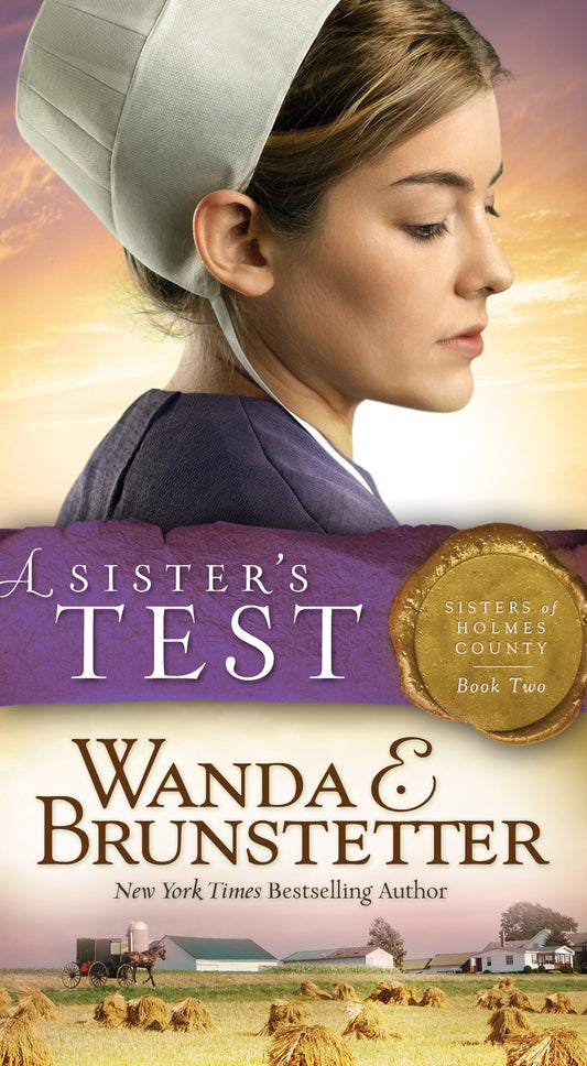 A Sister's Test (Sisters Of Holmes County #2) (Repack)