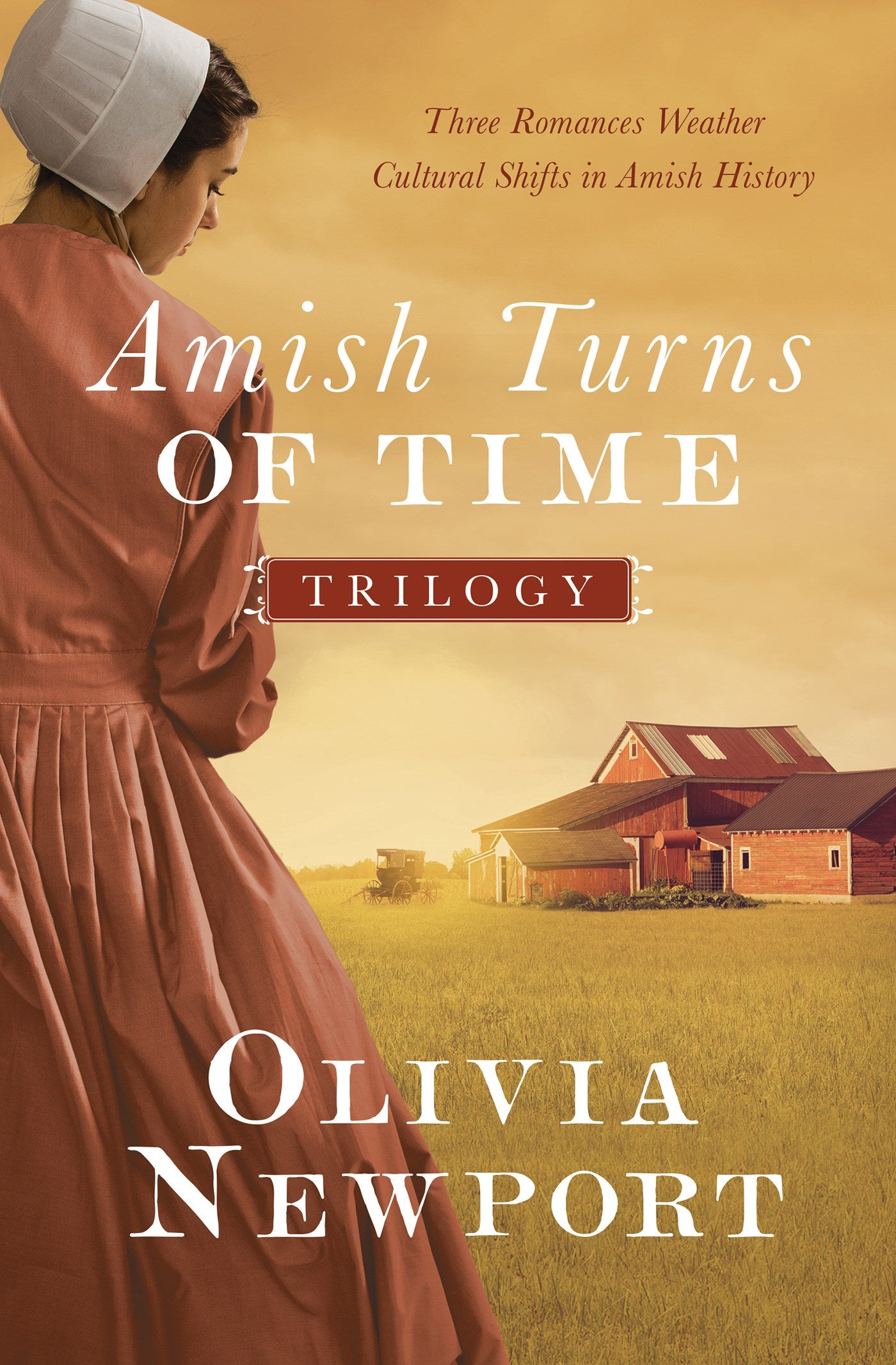 Amish Turns Of Time Trilogy