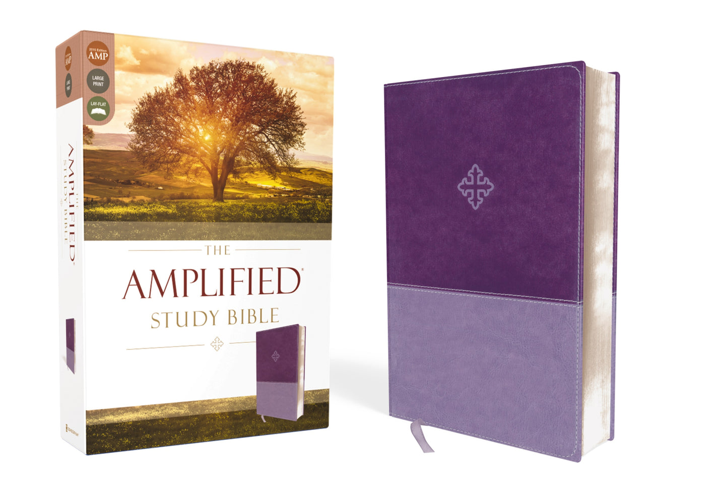 Amplified Study Bible (Revised)-Purple LeatherSoft