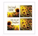 Square House Coasters-Sunshine (Set Of 4) (4")