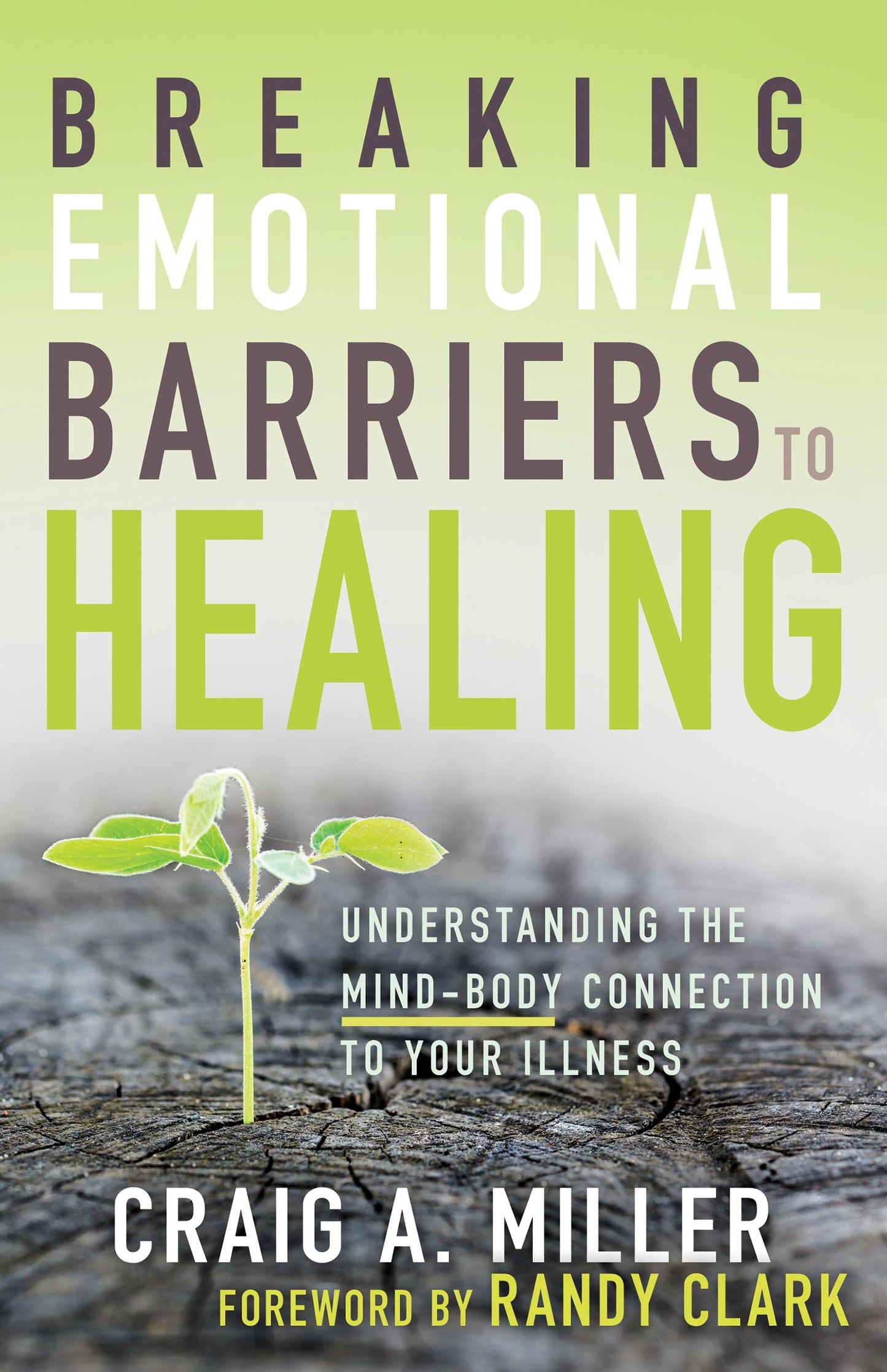 Breaking Emotional Barriers To Healing