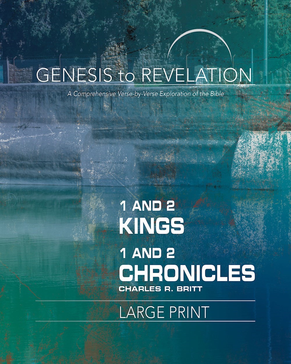 1 And 2 Kings  1 And 2 Chronicles Participant Book-Large Print