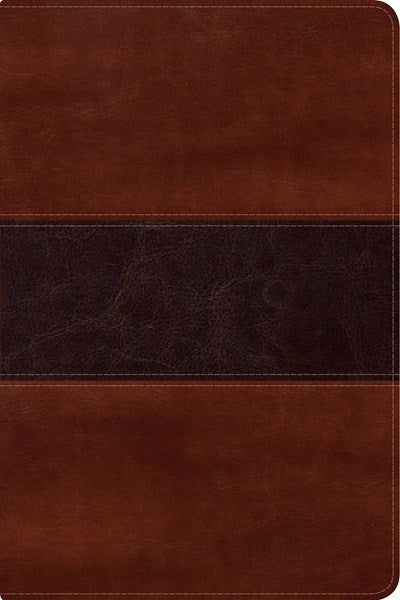 RVR 1960 Fisher Of Men Bible (Biblia del Pescador)-Mahogany LeatherTouch