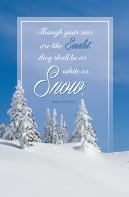 Bulletin-Though Your Sins Are Like Scarlet/White As Snow (Isaiah 1:18  KJV) (Pack Of 100)