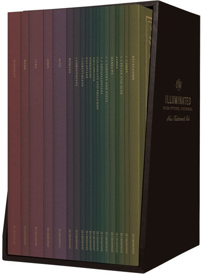 ESV Illuminated Scripture Journal: New Testament-Softcover (Set Of 19)