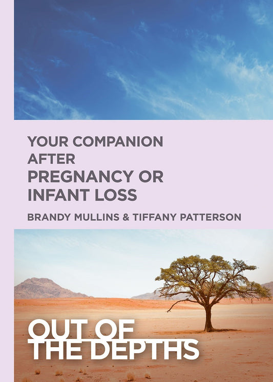 Your Companion After A Pregnancy Or Infant Loss