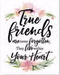 Magnet-Woodland Grace-True Friends (3" x 4")