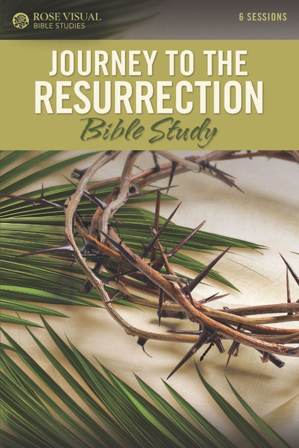 Journey To The Resurrection (Rose Visual Bible Studies)