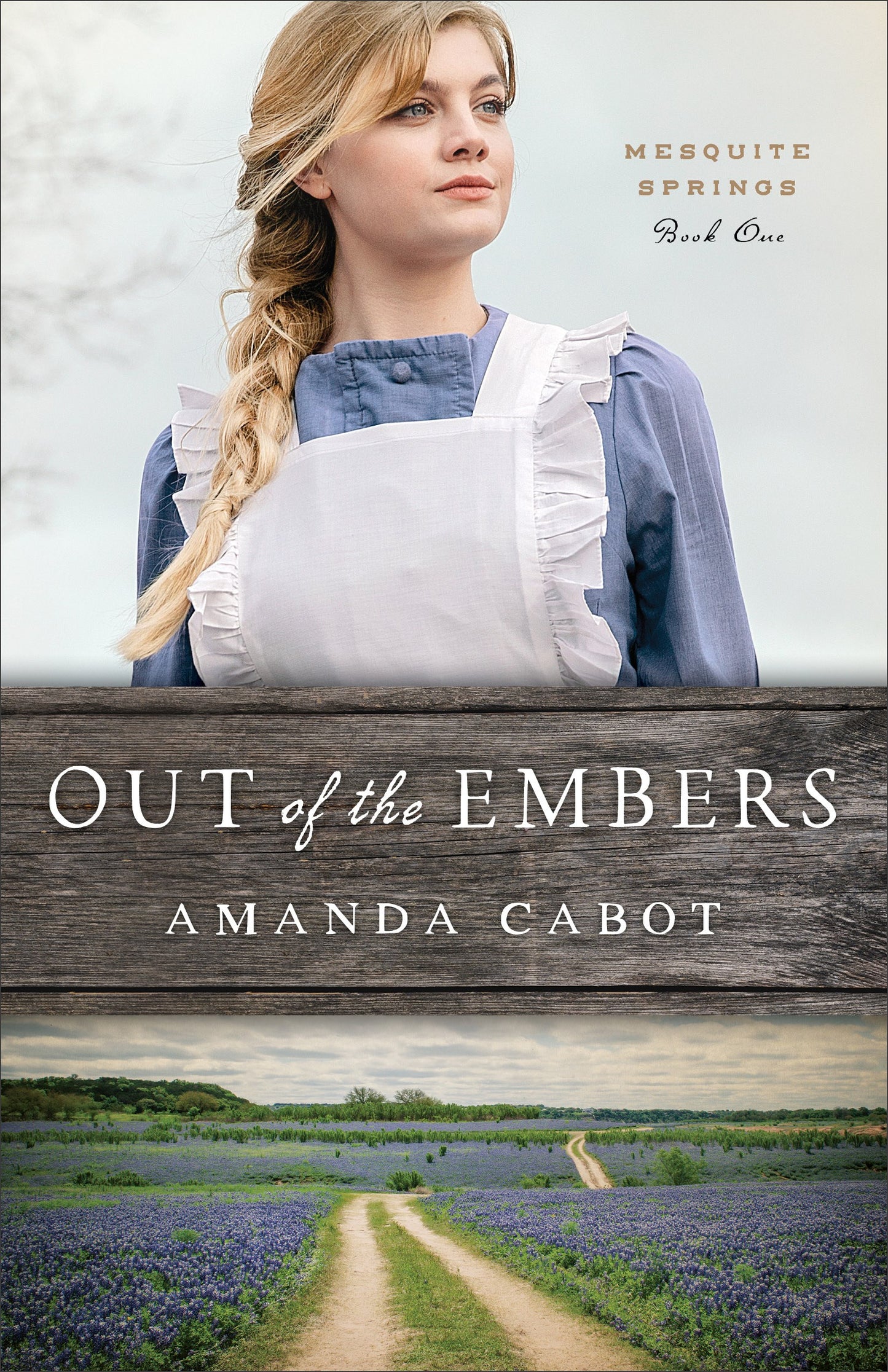 Out Of The Embers (Mesquite Springs #1)